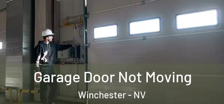  Garage Door Not Moving Winchester - NV