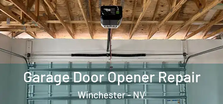  Garage Door Opener Repair Winchester - NV