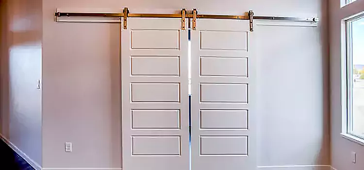 Glass Barn Door with Installation Hardware Kit Winchester