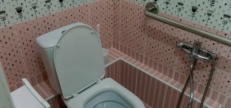 Meeting Diverse Needs With Accessible Restroom Solutions in Winchester, NV