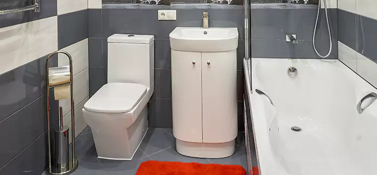 Hansgrohe Shaving Mirror Winchester