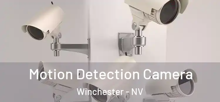  Motion Detection Camera Winchester - NV